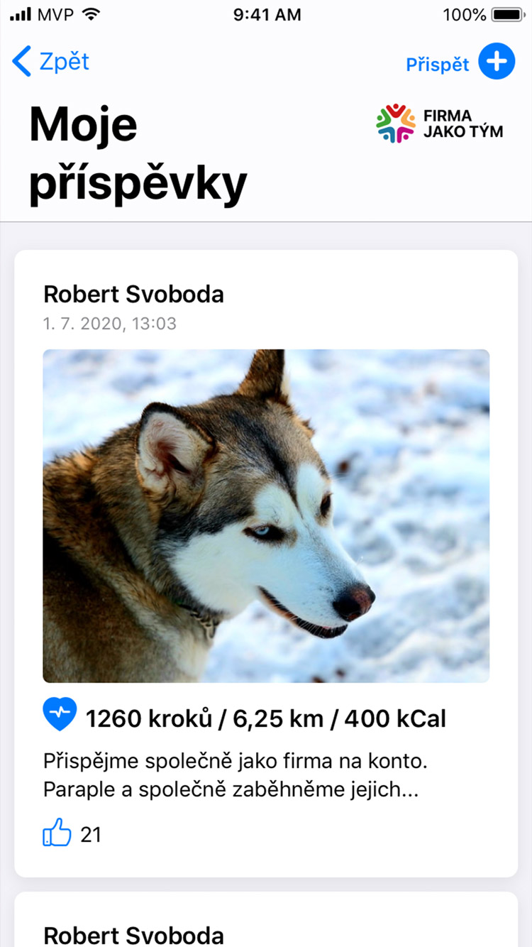 Firma jako tým app moje příspěvky