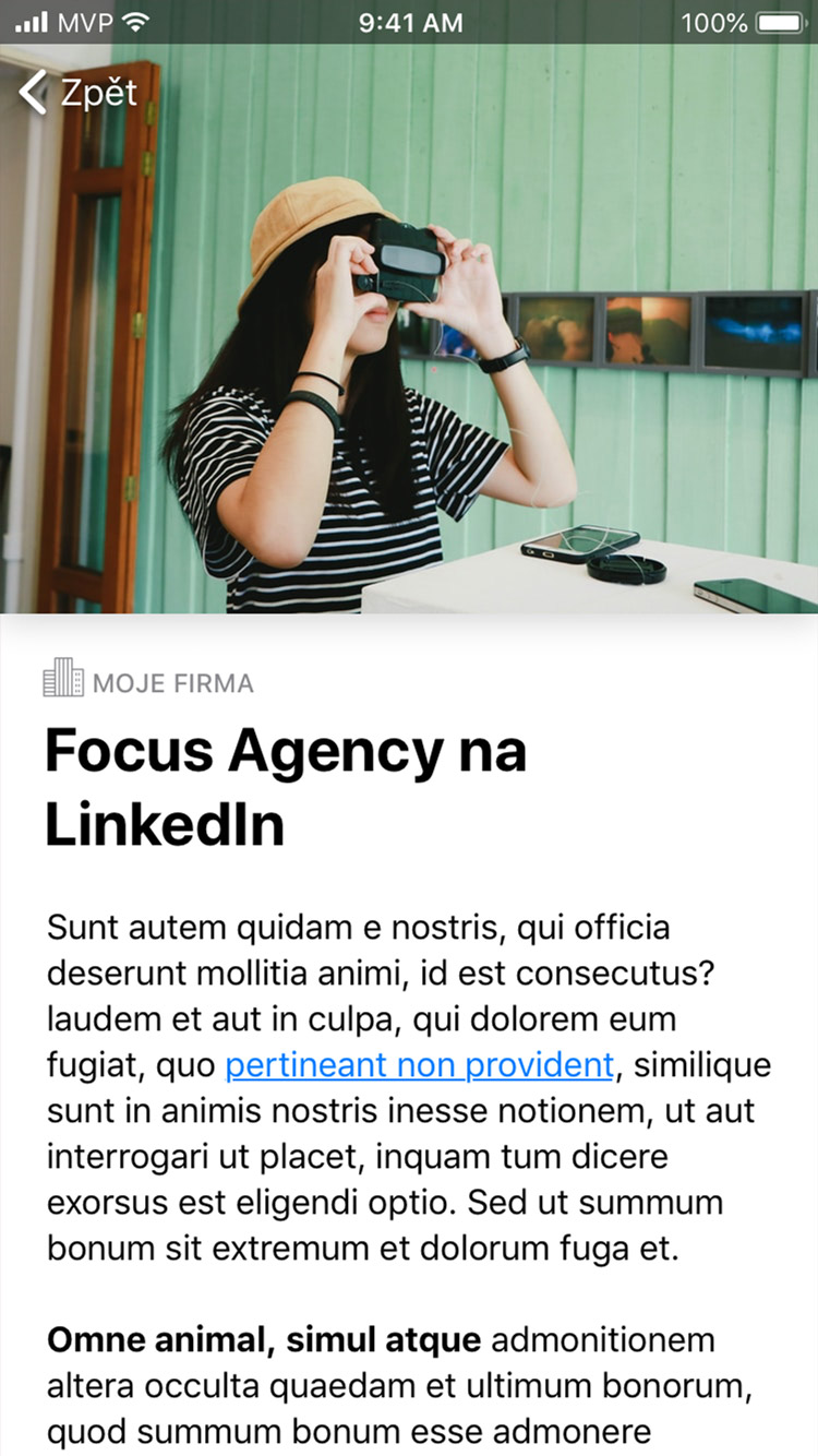 Firma jako tým app detail sdělení
